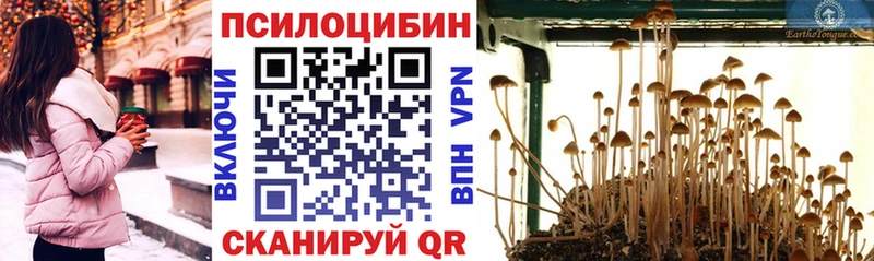 сколько стоит  Жигулёвск  mega tor  Галлюциногенные грибы Magic Shrooms 