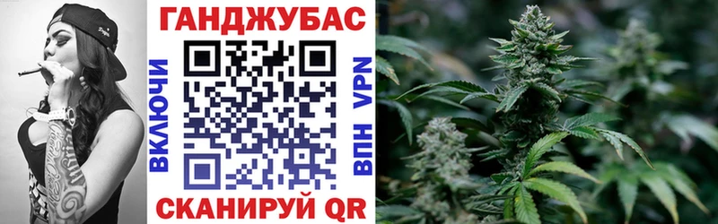 Каннабис сатива  Жигулёвск 